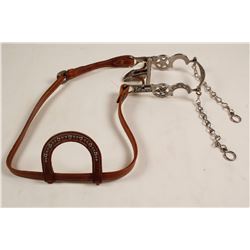 Jeremiah Watt Spade Bit on Headstall