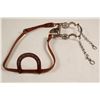 Image 1 : Jeremiah Watt Spade Bit on Headstall