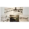 Image 1 : Sled Dog Photographs