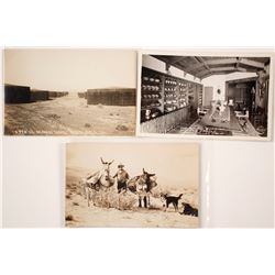 Three Southern California Desert Real Photo Postcards