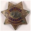Image 1 : Deputy Sheriff Badge