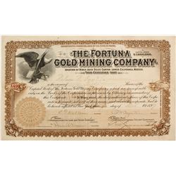 Fortuna Gold Mining Stock