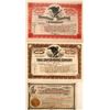 Image 1 : Three T.L. Oddie Signed Nevada Mining Stock Certificates