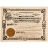 Image 1 : Wellington Goldfield Mining Co. Stock Cert.