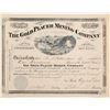 Image 1 : Gold Placer Mining Company Stock Cert.