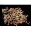 Image 1 : Copper from Keweenaw Peninsula, Michigan