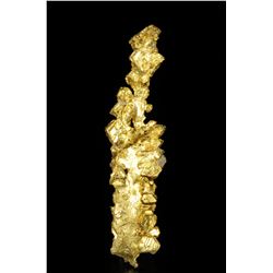 Crystallized Gold from Round Mountain Mine, Nye Co., Nevada