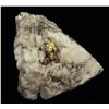 Image 1 : Crystallized Gold in Quartz from Venezuela