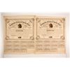 Image 1 : Confederate States of America Bond