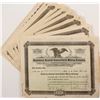 Image 1 : Sandstorm-Kendall Cons. Mining Co. Stock Certificate Collection