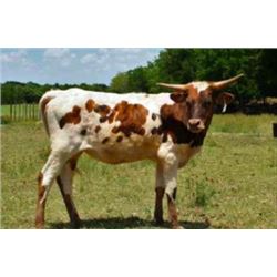 r3 GRAND SKYY 042717