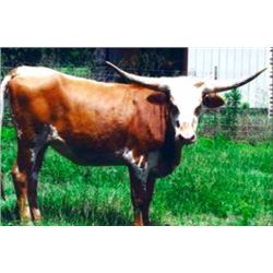 SOUTHERN CLASS IT IS