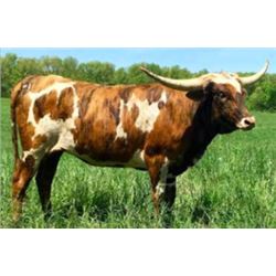 HUBBELLS CATCH BOUTIQUE