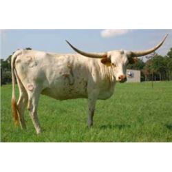 RJF STAR WORTH TAG 227