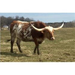 HUBBELLS SPECIAL CATCH