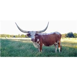 SUB LOT - HR GUNNING VI