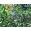 Image 1 : 43002 MI Lake County
