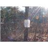 Image 1 : 43005 MI Lake County