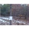 Image 1 : 43006 MI Lake County