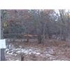 Image 2 : 43006 MI Lake County