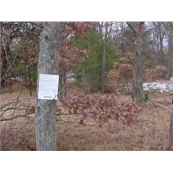 43008 MI Lake County 05857 S TWIN CREEK RD