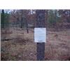 Image 1 : 43009 MI Lake County