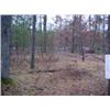 Image 2 : 43009 MI Lake County