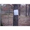 Image 1 : 43010 MI Lake County