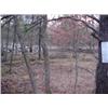 Image 2 : 43010 MI Lake County