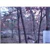 Image 2 : 43011 MI Lake County