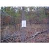 Image 1 : 43012 MI Lake County