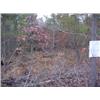 Image 2 : 43012 MI Lake County