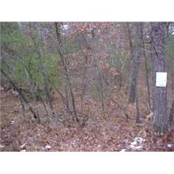 43013 MI Lake County