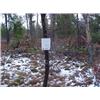 Image 1 : 43014 MI Lake County