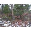 Image 2 : 43014 MI Lake County