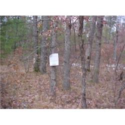 43015 MI Lake County