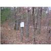 Image 1 : 43015 MI Lake County
