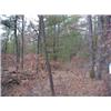 Image 2 : 43015 MI Lake County