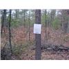 Image 1 : 43016 MI Lake County
