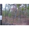 Image 2 : 43016 MI Lake County