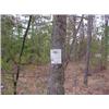 Image 1 : 43017 MI Lake County