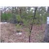 Image 2 : 43017 MI Lake County