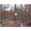 Image 1 : 43018 MI Lake County