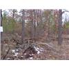 Image 2 : 43018 MI Lake County