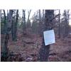 Image 1 : 43019 MI Lake County