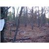 Image 2 : 43019 MI Lake County
