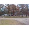 Image 1 : 43020 MI Lake County