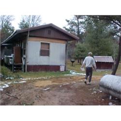 43021 MI Lake County 02225 S LEISURA LOOP