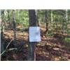 Image 1 : 43022 MI Lake County