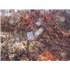 Image 1 : 43023 MI Lake County
